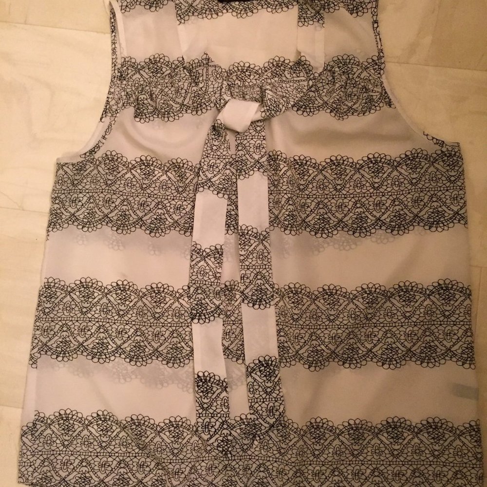 The Limited Sleeveless Blouse